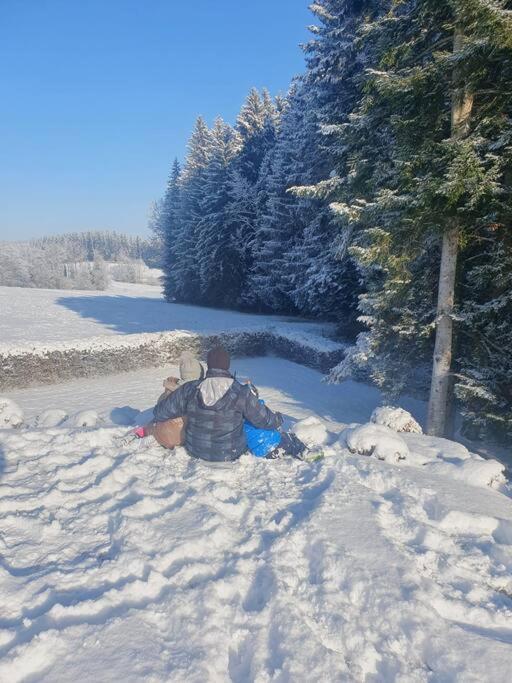 Im Allgaeu Mit Bergsicht * Oberreute