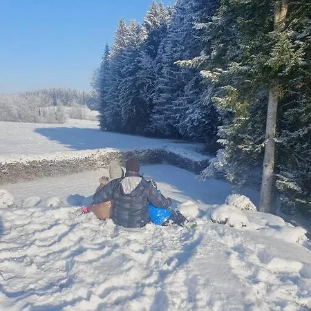 Ferienwohnung Im Allgaeu Mit Bergsicht Oberreute Exterior foto