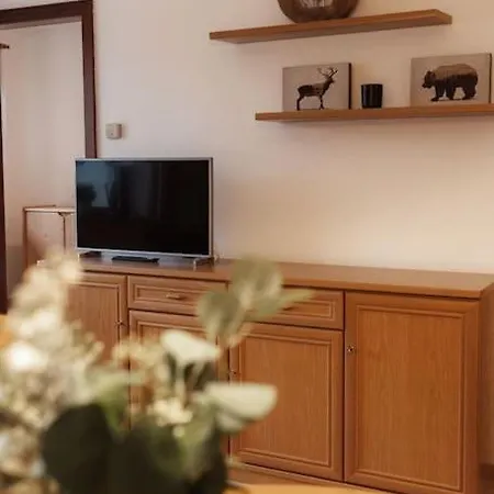 Ferienwohnung Im Allgaeu Mit Bergsicht Oberreute Exterior foto